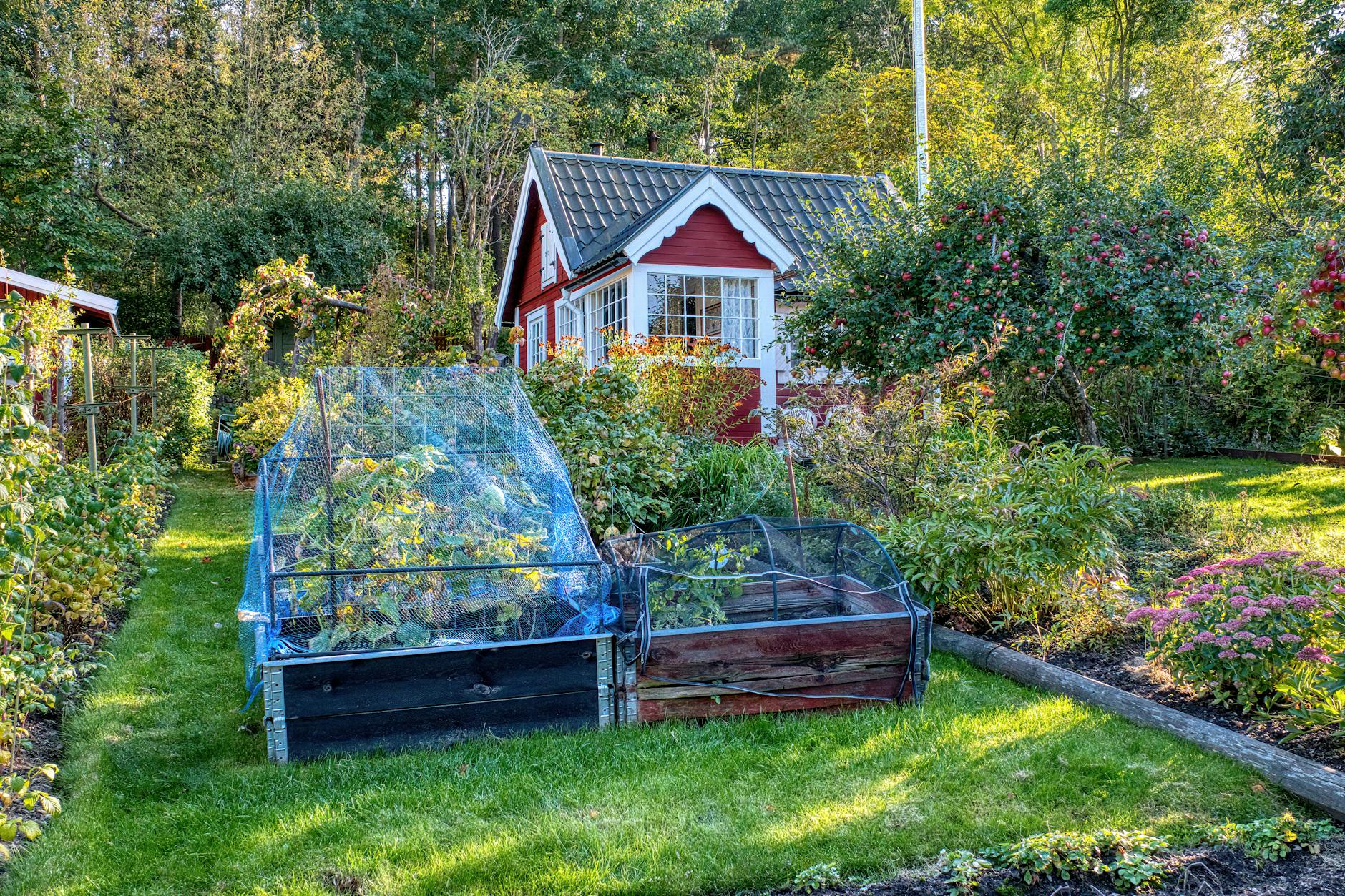 Czerwony domek otoczony bujnym ogrodem w słoneczny dzień