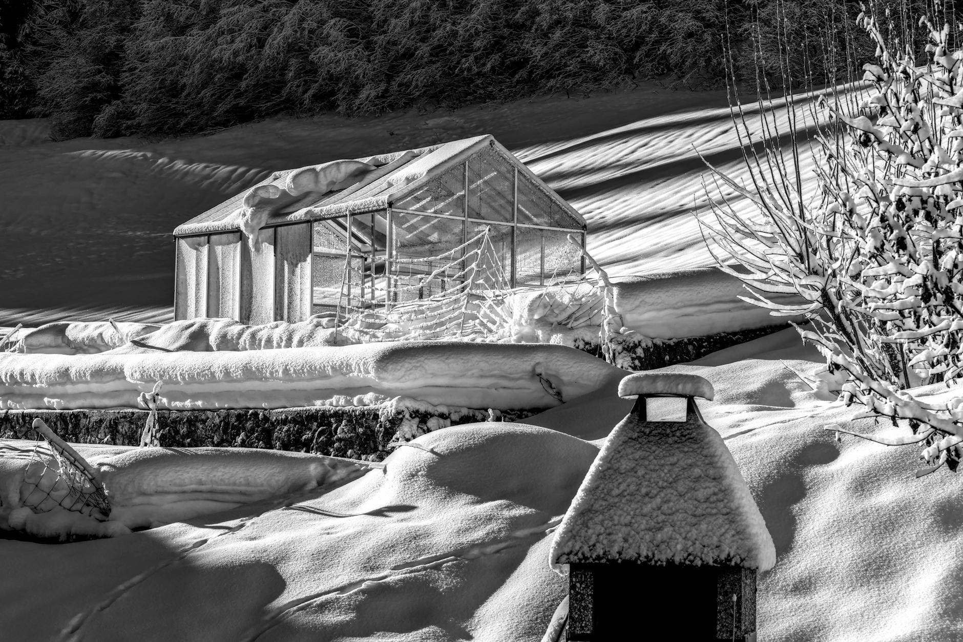 Ośnieżona szklarnia zimą w górskim krajobrazie Szwajcarii