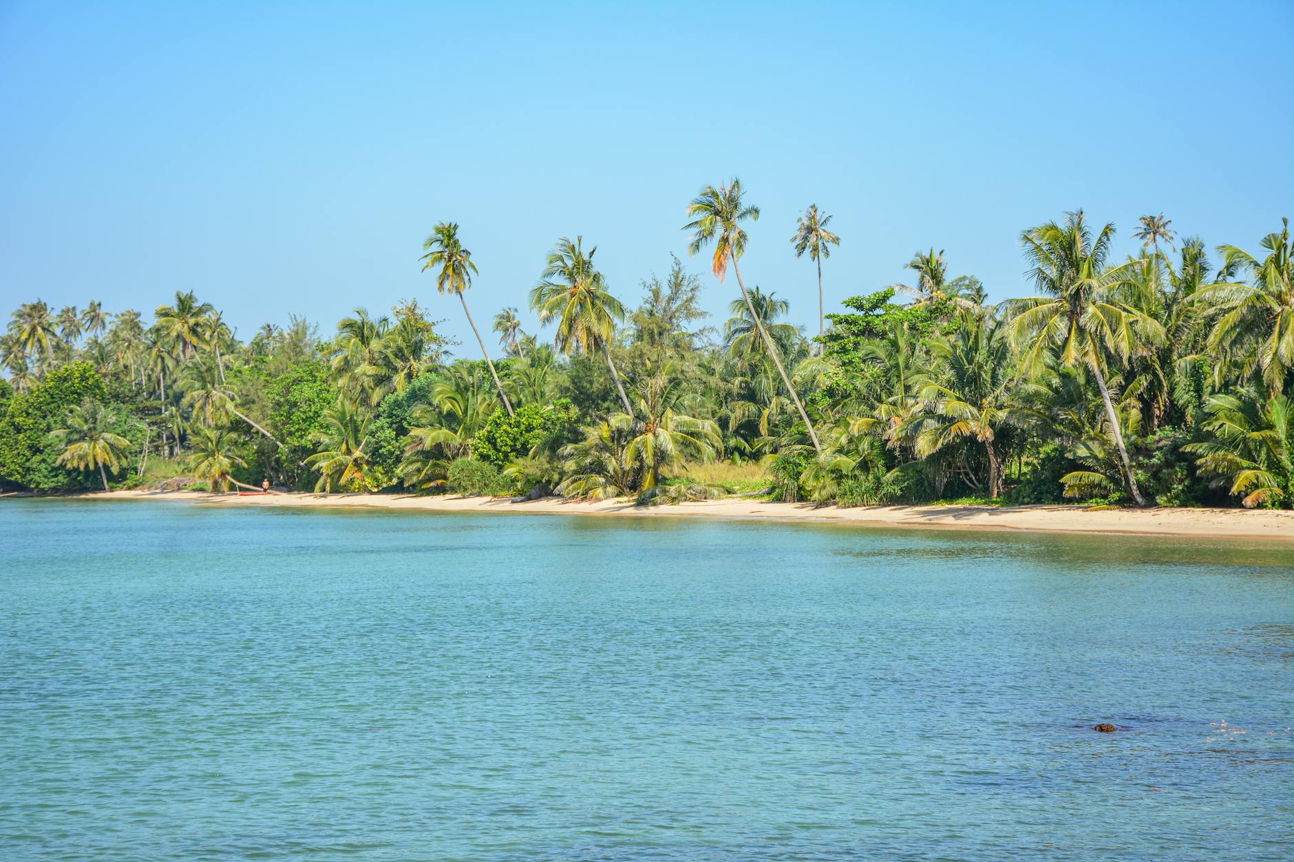 Piaszczysta plaża na Ko Mak z palmami i spokojnym, turkusowym morzem