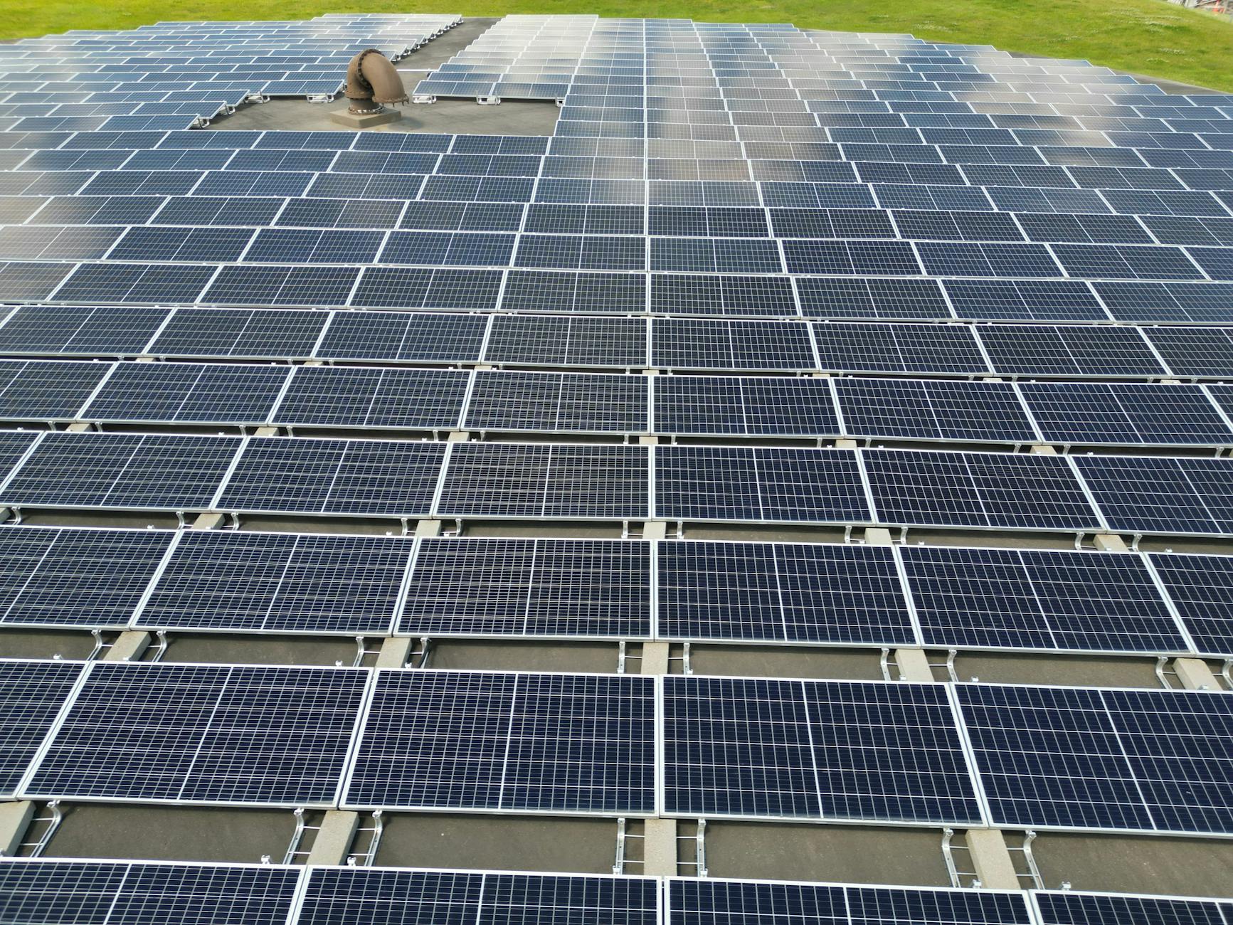 Pole słoneczne z dużą instalacją paneli fotowoltaicznych w słoneczny dzień