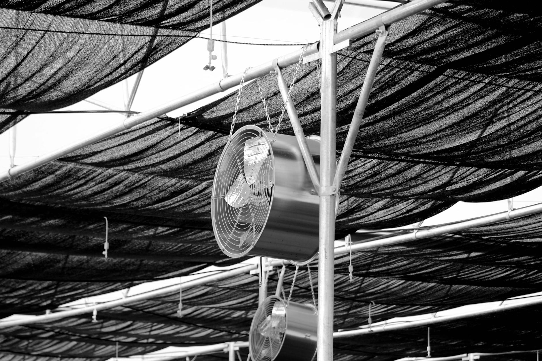 Wentylatory przemysłowe pod dachem szklarni wspomagające cyrkulację powietrza